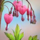 Washington State-Seabeck Bleeding heart blossoms close-up Art Print